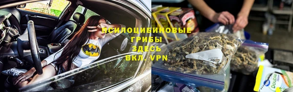 бутират Губаха